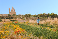 Landschaft auf der Insel Gozo